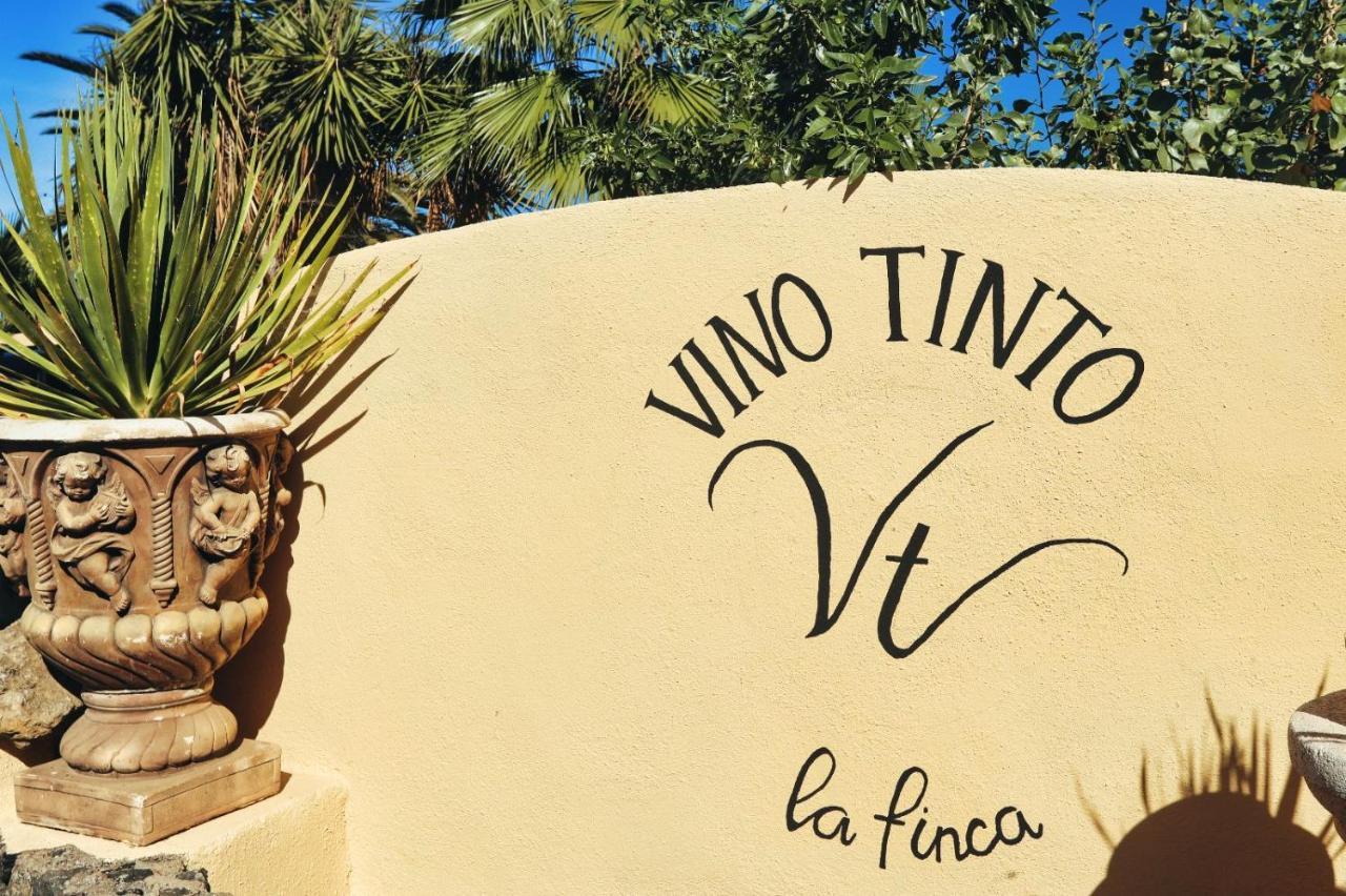 Finca Vino Tinto 2 Icod De Los Vinos Extérieur photo
